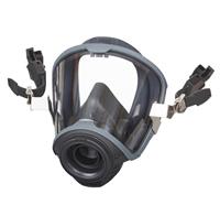 Helm-Masken-Kombination MSA© G1 - L