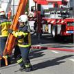 Korbtrage SPENCER SHELL, nicht teilbar | Bild 0