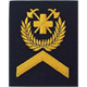 Insigne de diplôme 5x5 cm sur Velcro - Adjudant