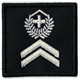 Insigne de diplôme 5x5 cm sur Velcro - Feldweibel