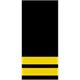 Insigne de grade - Oberstleutnant